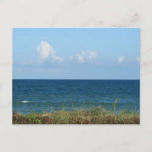 Beach dune with blue vatten and himmel, Florida Vykort