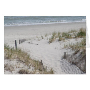 Beach Dunes OBS Kort
