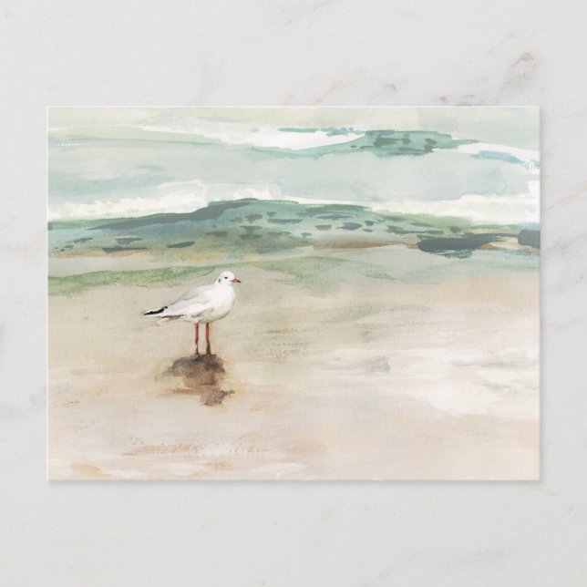 Beach Fiskmås Cove Vykort (Framsida)