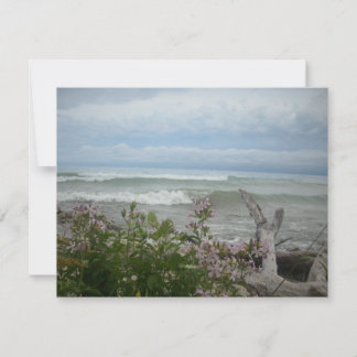 Beach Flowers