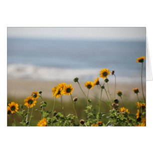 Beach Flowers på Galveston Island Hälsningskort