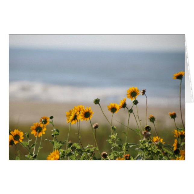 Beach Flowers på Galveston Island Hälsningskort (Framsidan Horizontal)