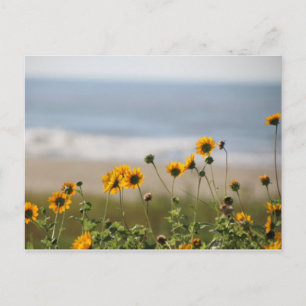 Beach Flowers på Galveston Island Vykort