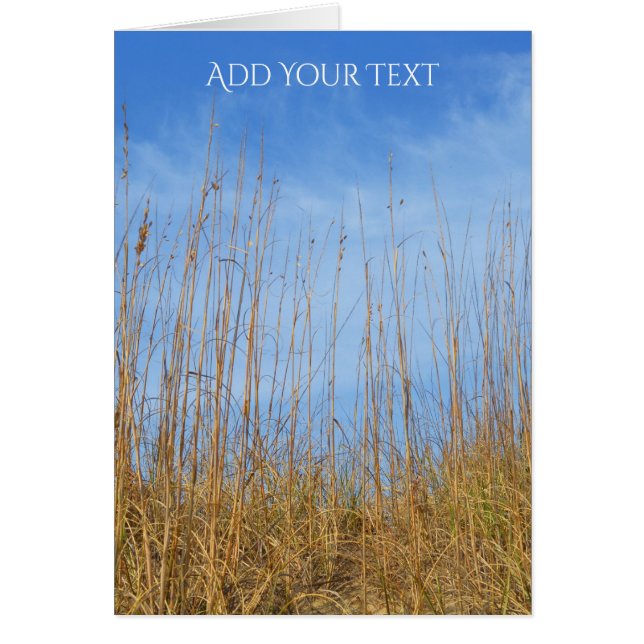 Beach Grass by Shirley Taylor Hälsningskort (Framsidan)
