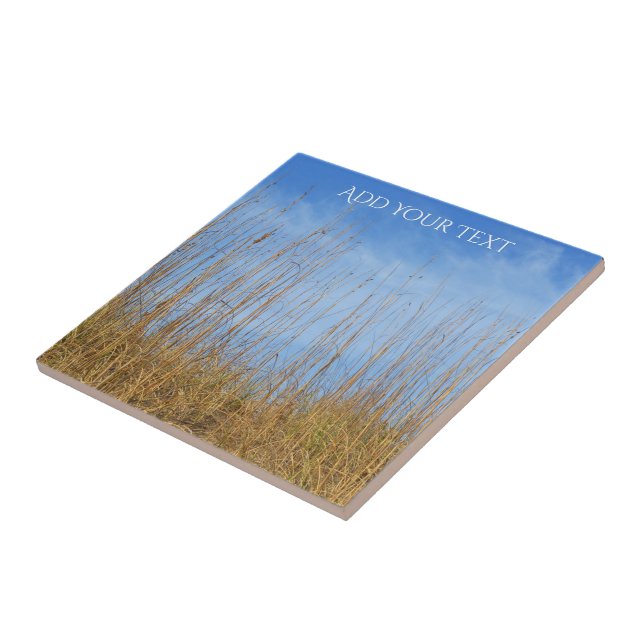Beach Grass by Shirley Taylor Kakelplatta (Sidan)
