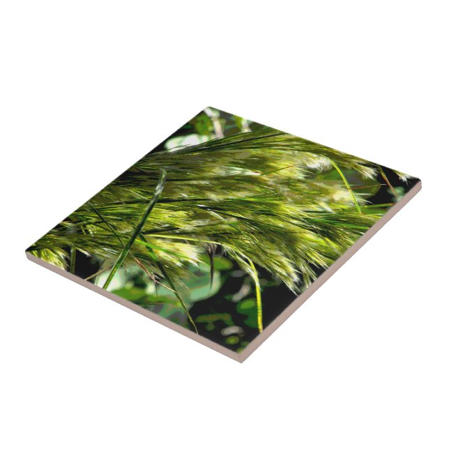 Beach Grass in Breeze Kakelplatta (Sidan)