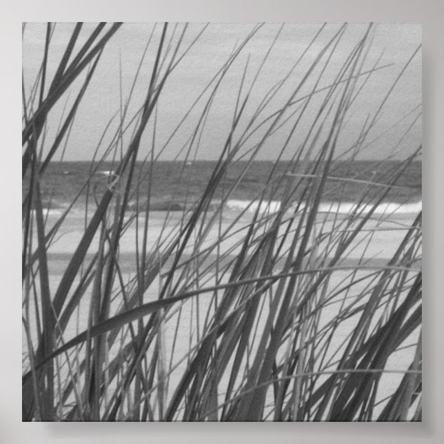 BEACH GRASS POSTER (Framsidan)