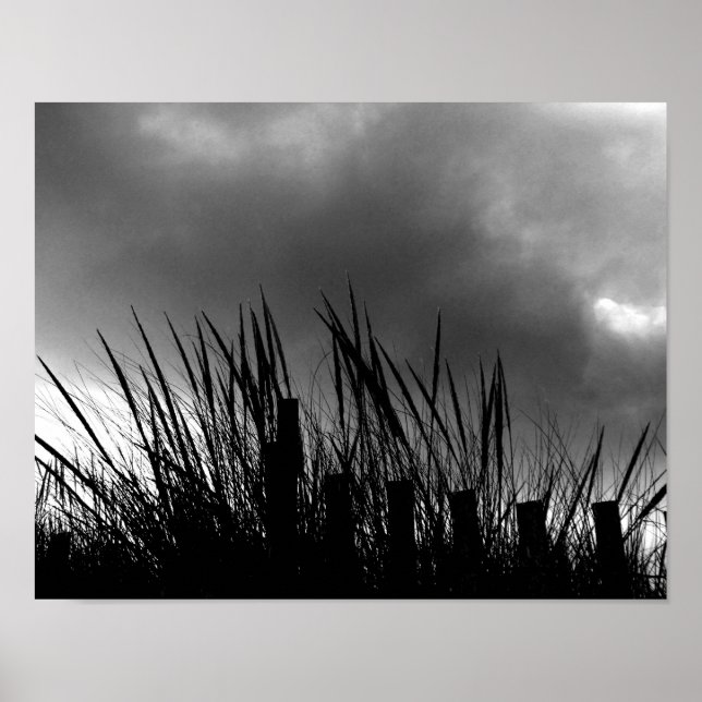 Beach Grass Poster (Framsidan)