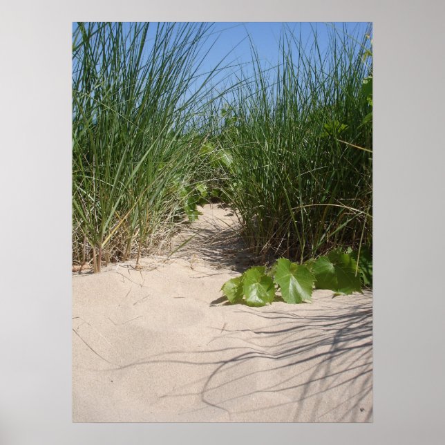 Beach Grass, Warren Dunes, MI Poster (Framsidan)