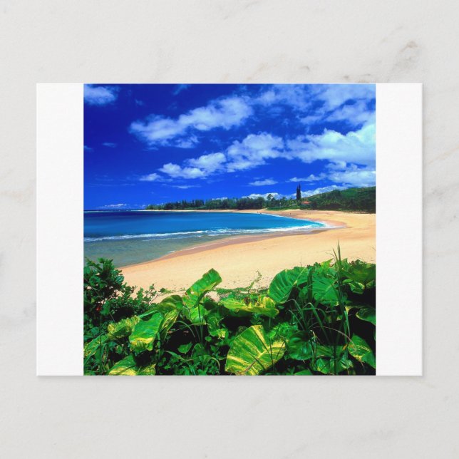 Beach Haena Kauai Hawaii Vykort (Framsida)