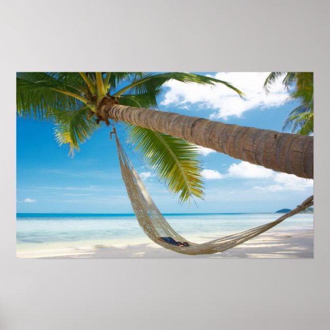Beach hammack palmtree poster (Framsidan)