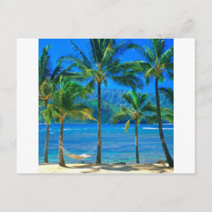 Beach Hammock Kauai Hawaii Vykort