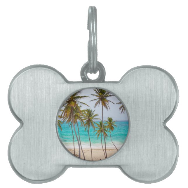 Beach Handflatan ID-bricka Husdjur (Framsidan)