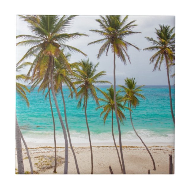 Beach Handflatan Kakelplatta (Framsidan)