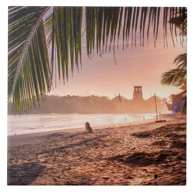 Beach Handflatan Träd Lugn Sunset Kakelplatta (Framsidan)