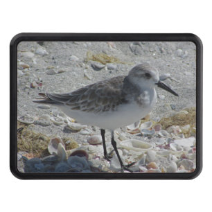 Beach House Grått Coastal Animal Photo Shore Bird Dragkroksskydd
