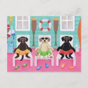 Beach House Labrador Boys vykort
