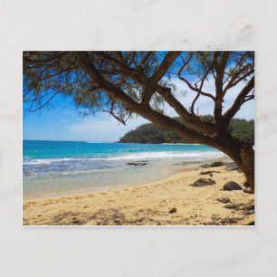 Beach i Kauai Vykort