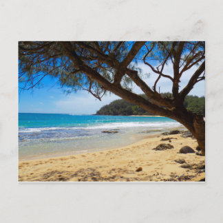 Beach i Kauai Vykort
