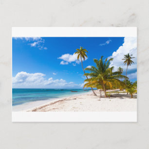 Beach i Saona Dominikanska republiken Vykort
