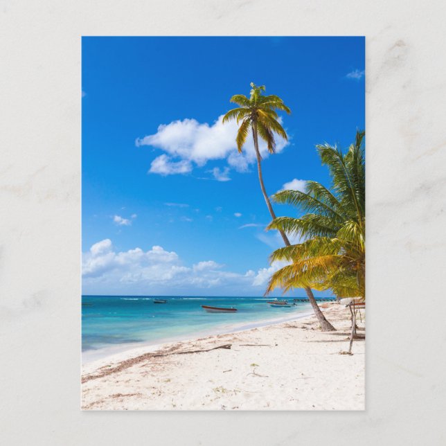 Beach i Saona Dominikanska republiken Vykort (Framsida)