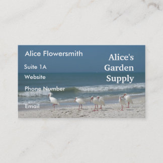 Beach Ibis- Affärskort Visitkort