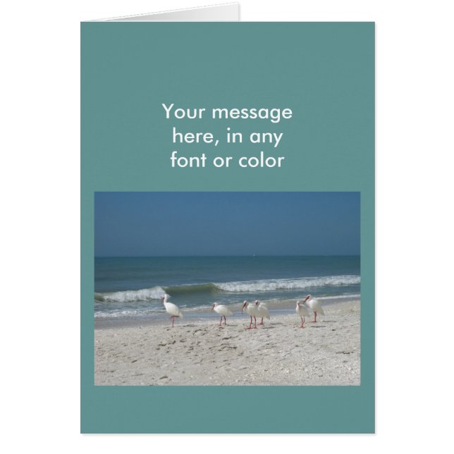 Beach Ibis Hälsningskort (Framsidan)