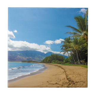 Beach in Hawaii Kakelplatta