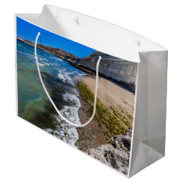 Beach in Puerto Piramides, Argentina