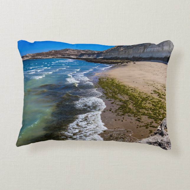 Beach in Puerto Piramides, Argentina Prydnadskudde (Baksidan)