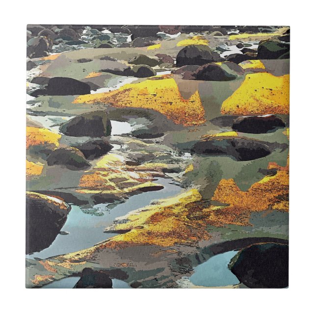 BEACH KAKELPLATTA (Framsidan)