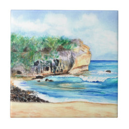 Beach Kauai Ceramic Tile Kakelplatta