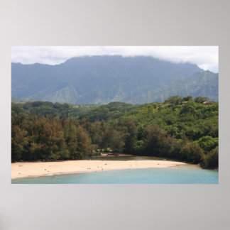 Beach, Kauai, Hawaii Poster