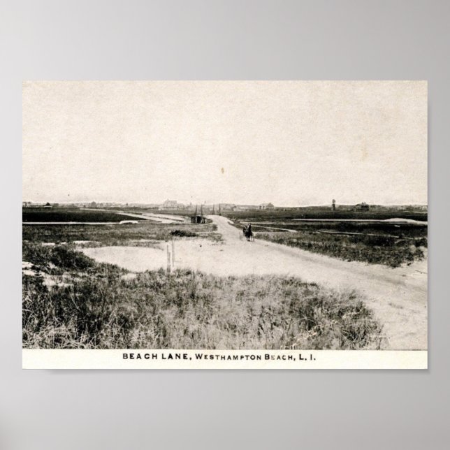 Beach Lane, Westhampton, New York, Vintage Poster (Framsidan)