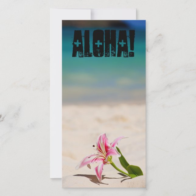 Beach Lily (Framsida)