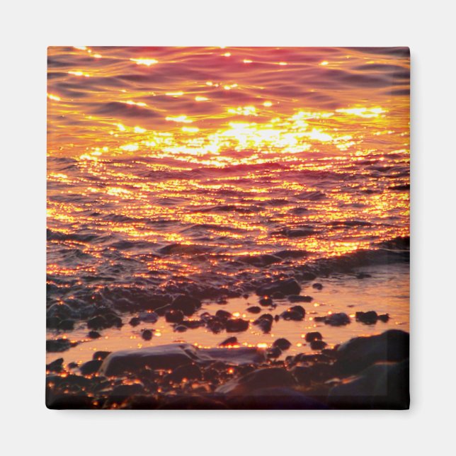 BEACH MAGNET (Framsidan)