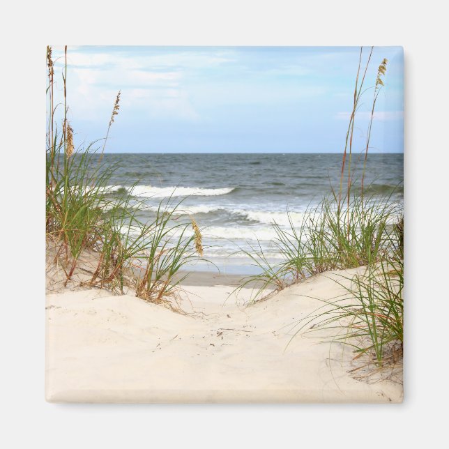 Beach Magnet (Framsidan)