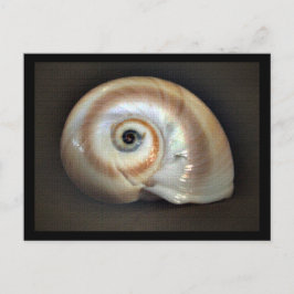 Beach Memory Postcard Vykort