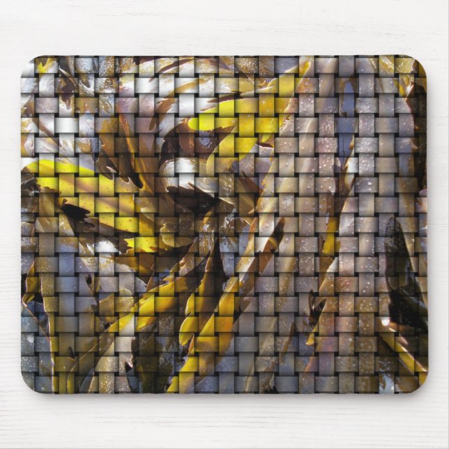 BEACH MUSMATTA (Framsidan)