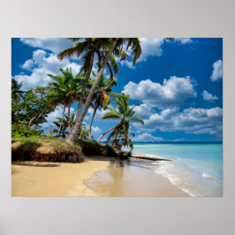Beach Ocean Photo 168 Poster