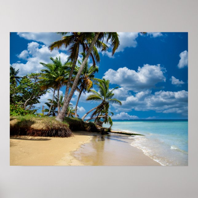 Beach Ocean Photo 168 Poster (Framsidan)