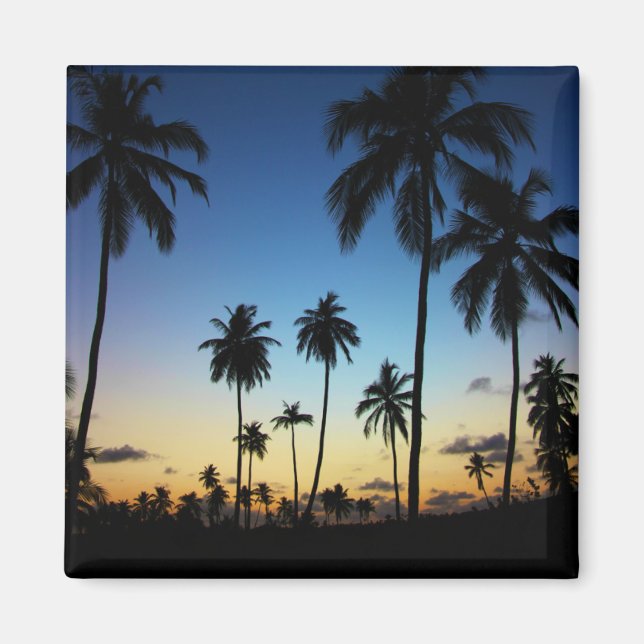 Beach och en kustby | Praia Do Forte Magnet (Framsidan)