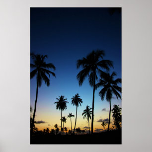 Beach och en kustby Praia Do Forte Poster