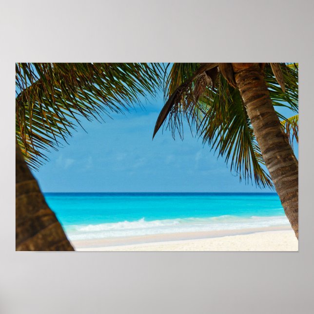 Beach och Handflatan Träd Poster (Framsidan)