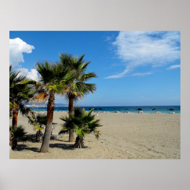 Beach och handflatan vid Puerto Banus Poster (Framsidan)