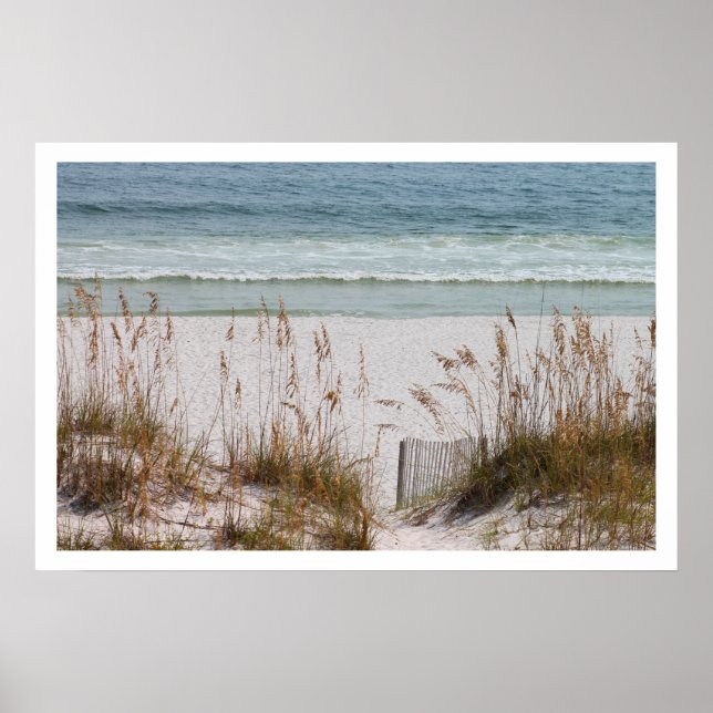 Beach och Oceanen Poster (Framsidan)