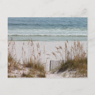 Beach och Oceanen Vykort