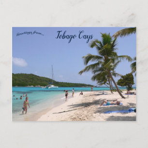 Beach på Tobago Cays Vykort