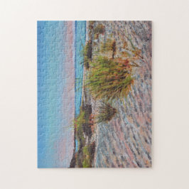 Beach Painting Florida Sand Rosa Pussel