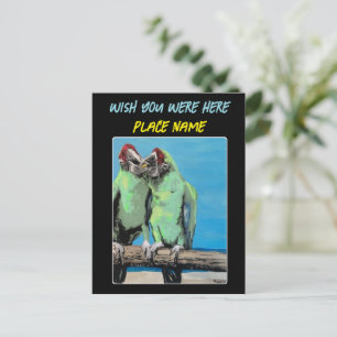 "Beach Parrots"-målning på en Vykort